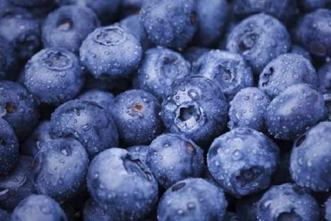蓝莓储存方法和时间如何延长保鲜期