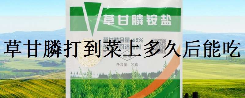 草甘膦打到菜上多久后能吃（喷了草甘膦的菜过几天可以吃）