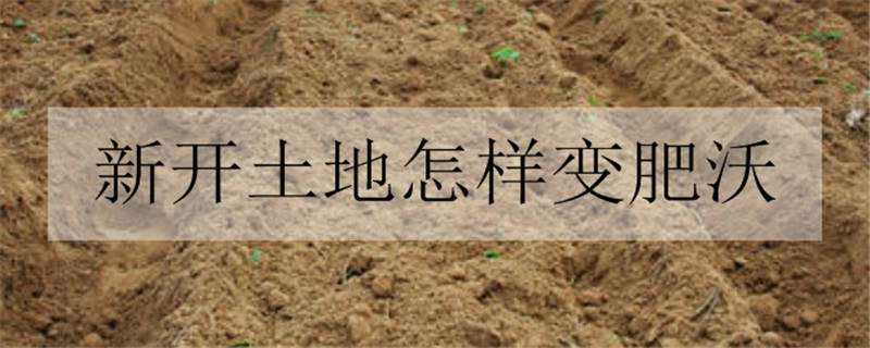 新开土地怎样变肥沃 土地怎么变肥沃
