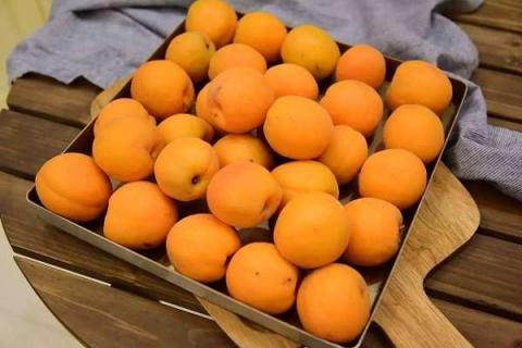 杏子是什么季节的水果（杏子水果的功效与作用及禁忌）