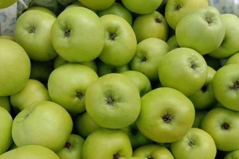 苹果用什么肥料果实更甜 苹果用什么肥料果实更甜呢