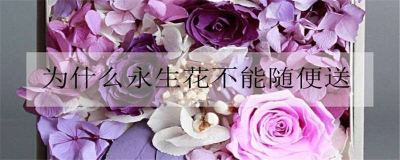 为什么永生花不能随便送（永生花为什么不能送人）
