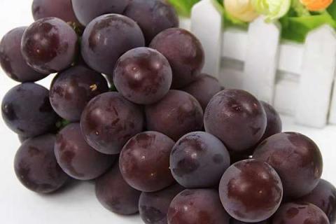 葡萄用什么肥料果实更甜 葡萄用什么肥料果实更甜一些
