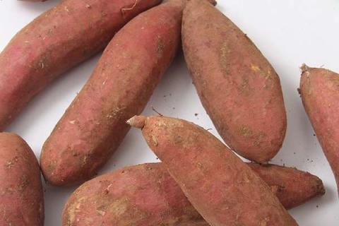 红薯一共要施肥几次 施什么肥可以提高产量
