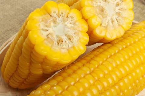 玉米施锌肥的最佳时间 使用方法及注意事项
