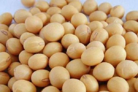 钼肥对豆类的作用有哪些 钼肥对长豆角类的作用