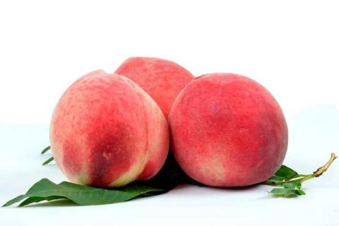 桃树膨果期施什么肥 一亩地施肥多少好