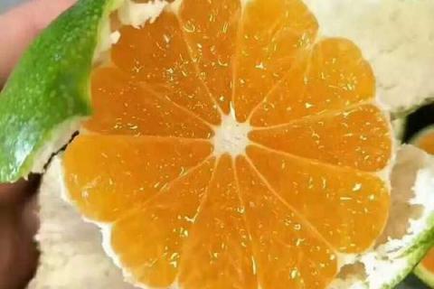 柑橘脂点黄斑病用什么药最好（柑橘的脂点黄斑）