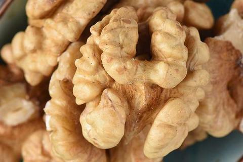 核桃树枯叶病用什么药（核桃树叶枯萎怎么治）