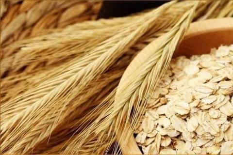 燕麦和莜麦一样吗 燕麦和莜麦一样吗有什么区别