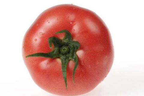 种西红柿打叉步骤及方法 注意事项有哪些