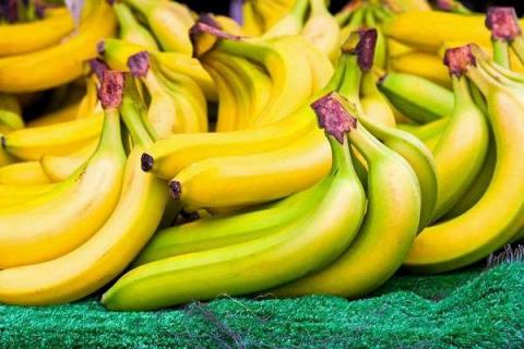 香蕉属于什么科植物 吃香蕉的好处