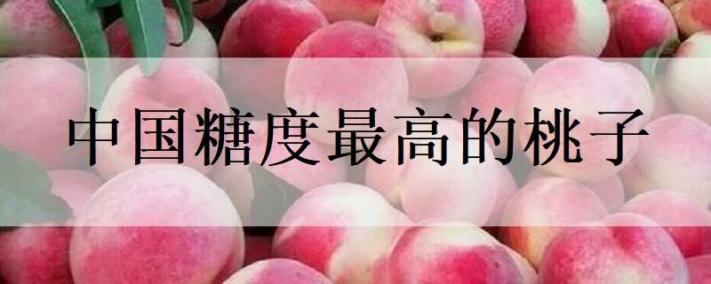 中国糖度最高的桃子（糖度最高的桃子品种）