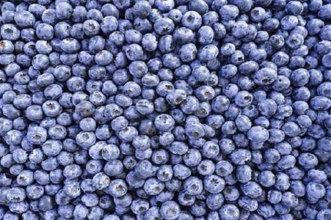 蓝莓能施复合肥吗 给蓝莓施肥的最佳时间