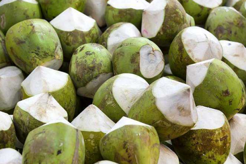 椰子的功效与作用 椰子的食用禁忌