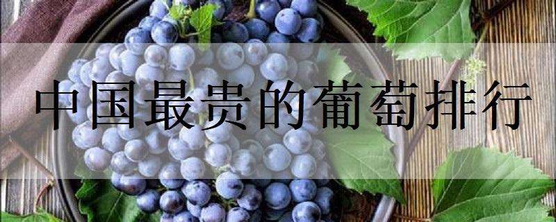 中国最贵的葡萄排行 中国目前最贵的葡萄品种