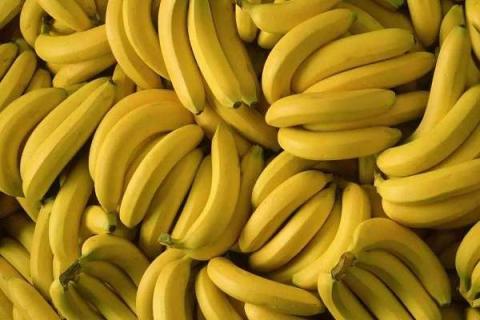 香蕉用什么肥料能快速生长（香蕉用什么肥料能快速生长出来）