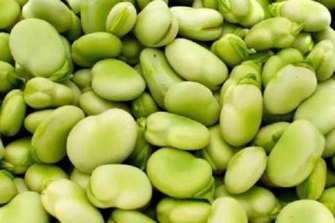 蚕豆打顶三打三不打是什么意思（蚕豆打尖视频）