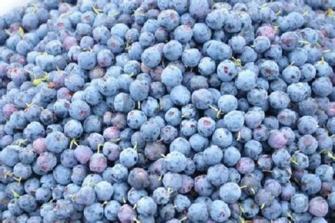 蓝莓能施复合肥吗（蓝莓可以用什么肥料）