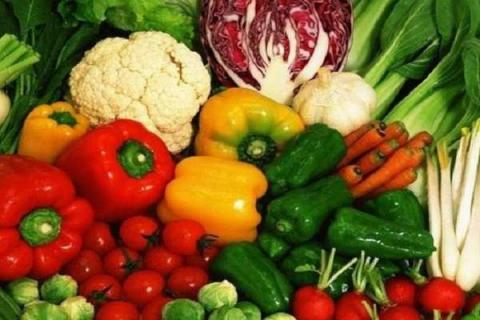 蔬菜属于植物吗 有哪些种类