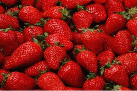 草莓属于浆果类吗（草莓属于浆果类吗?）