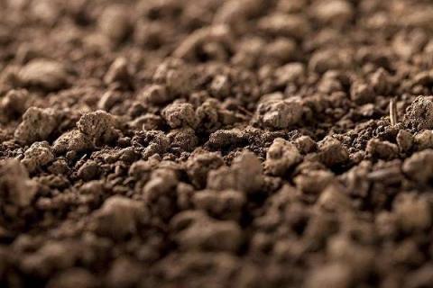 土壤肥力四因素是什么 土壤肥力的种类