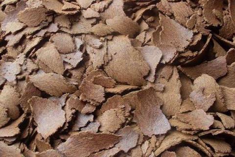 油枯怎么做肥料 油枯怎么做肥料种菜