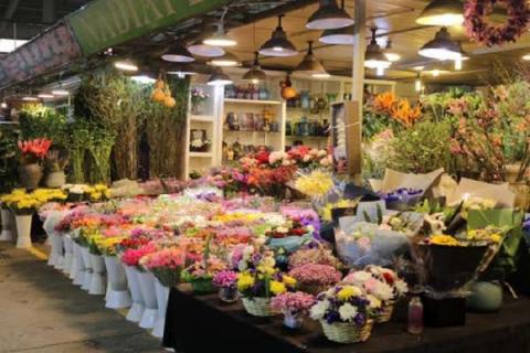 我国最大的花卉批发市场在哪里（全国最大的花卉批发市场在哪）