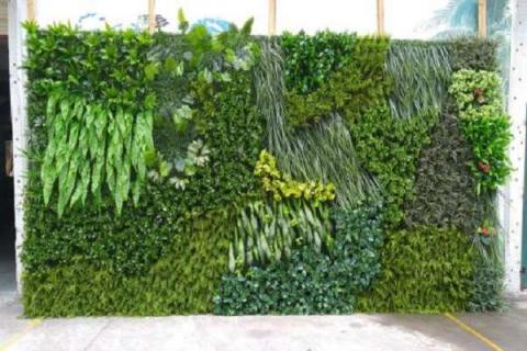 绿植墙用什么植物比较合适 用什么绿植做绿植墙