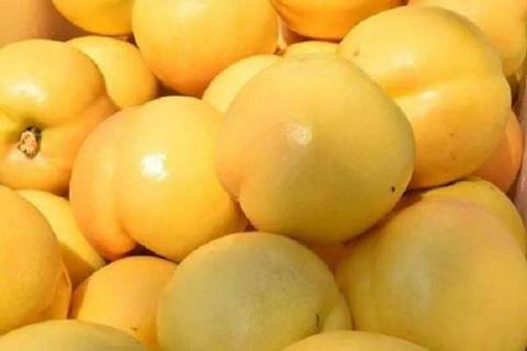 黄金油桃和黄桃的区别是什么（黄油桃和黄金油桃一样吗）