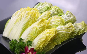 娃娃菜叶子发黄怎么办（娃娃菜叶子变黄还能吃吗）