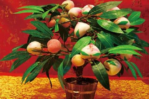 蟠桃树盆栽可以在室内养殖吗（蟠桃树盆栽可以在室内养殖吗）