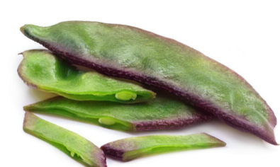 高产扁豆的播种时间（扁豆种植时间）