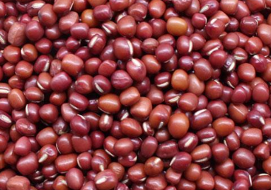红小豆高产种植方法 红小豆的高产栽培技术