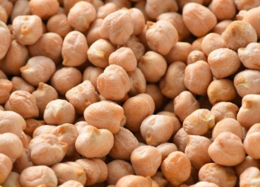 鹰嘴豆的高产种植技术（鹰嘴豆栽培管理）