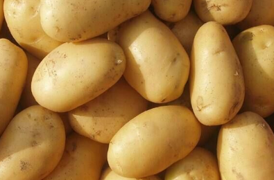 让土豆增产的种植管理技巧有哪些 土豆高产养殖总结