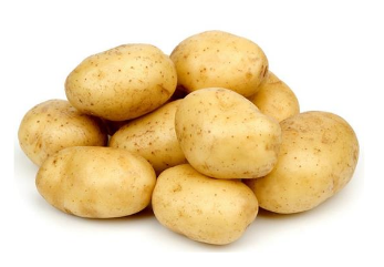 马铃薯的高产种植管理技术（马铃薯的高产种植管理技术有哪些）