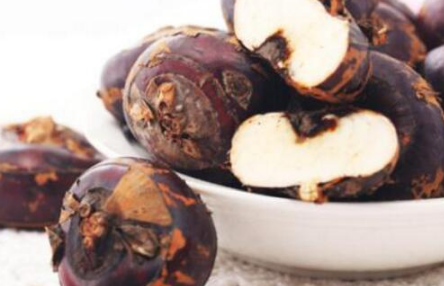 荸荠高产种植技术（荸荠高产种植技术与管理）