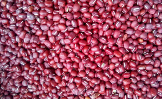 红小豆如何栽培 红小豆的栽培技术