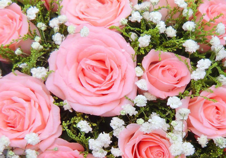男生送粉色玫瑰代表什么 粉玫瑰不能随便送人