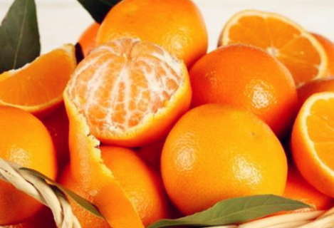 立冬过后采摘柑橘需要注意哪些要点 立冬过后采摘柑橘需要注意哪些要点呢