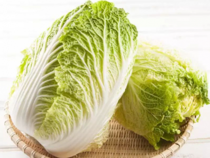 种白菜如何补施钙肥 种白菜如何补施钙肥料