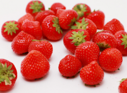 草莓种植时间和方法 北方草莓种植时间和方法