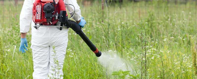 打过除草剂的喷雾器如何清洗 打过除草剂的喷雾器如何清洗掉