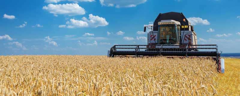 小型玉米收割机有哪几种（小型玉米收割机有哪几种类型）