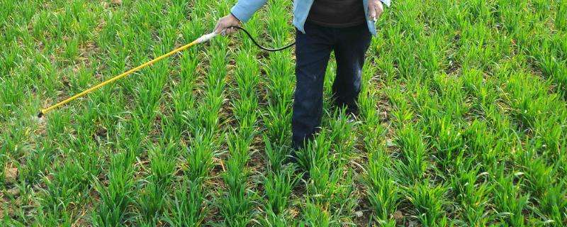 磷酸二氢钾和流体硼一起用量 磷酸二氢钾和流体硼一起用量多少