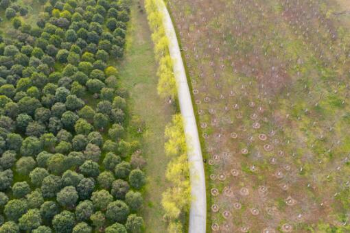 2022年退耕还林还草补助标准是多少 2020年退耕还林补贴标准