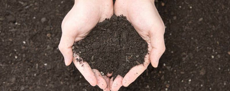 土壤肥力与哪些因素有关（土壤肥力与哪些因素有关联）