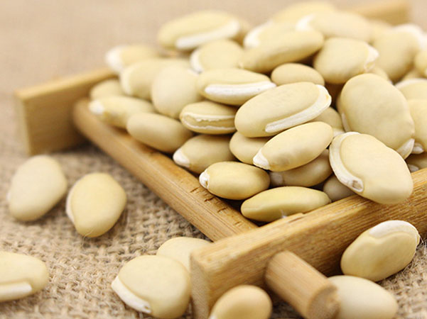 孕妇可以吃炒白扁豆吗 孕早期能吃白扁豆吗