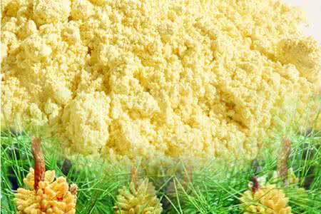 松花粉的功效与作用及食用方法 松花粉的功效与作用及食用方法用量杏仁